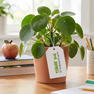 Lehrer Danke für Ihre Hilfe bei meinem Wachstum un Geschenkanhänger