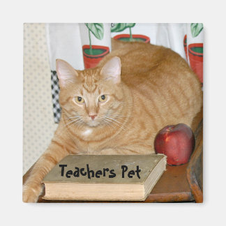 Lehrerin Magnet