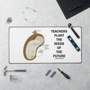 LehrerInnen Pflanze über das Saatgut der zukünftig Schreibtischunterlage