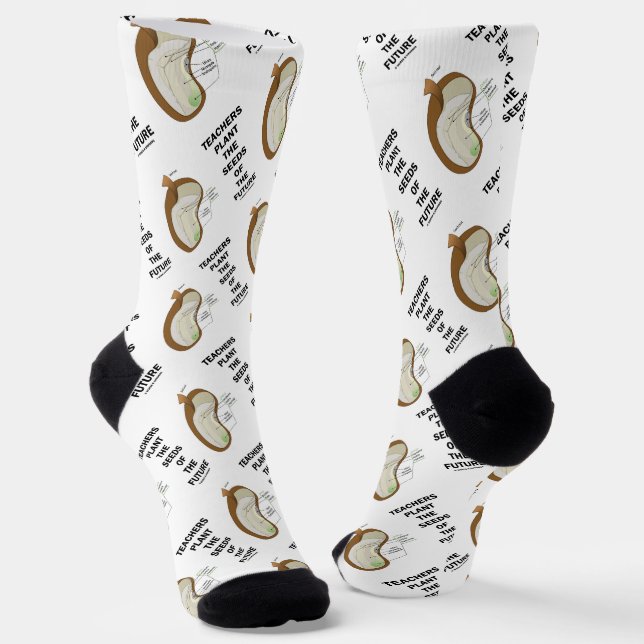 LehrerInnen Pflanze über das Saatgut der zukünftig Socken (Gewinkelt)