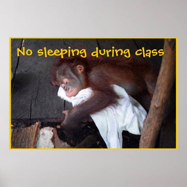 Lehrerordnung Poster (Vorne)