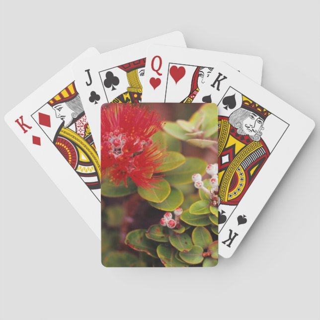 Lehua blüht in den Vulkanen Hawaiis Spielkarten (Rückseite)