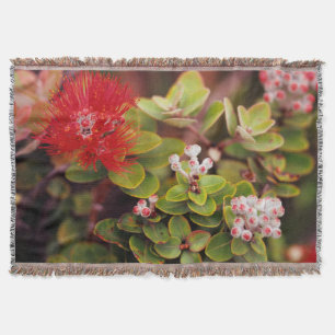 Lehua blüht in Hawaii-Vulkanen Decke