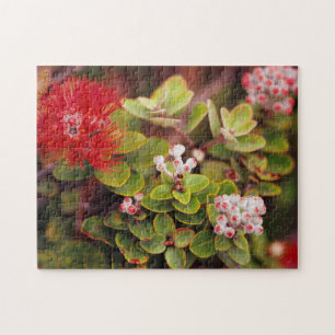 Lehua-Blüten in Hawaii-Vulkanen