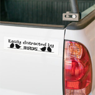Leicht ablenkbar durch das Angebot an Vogelbeobach Autoaufkleber