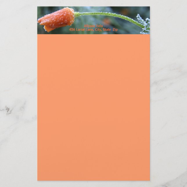 Leicht Mattiertes Kalifornien-Mohn Briefpapier (Vorderseite)