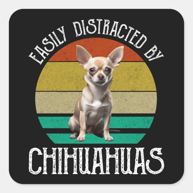 Leicht von Chihuahuas abgelenkt Quadratischer Aufkleber (Vorderseite)
