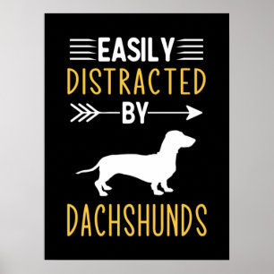 Leicht von Dackeln abgelenkt Poster