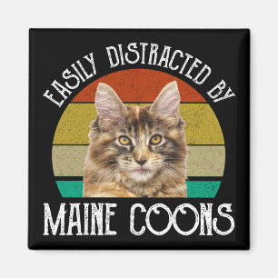 Leicht von Maine-Coons abgelenkt Magnet