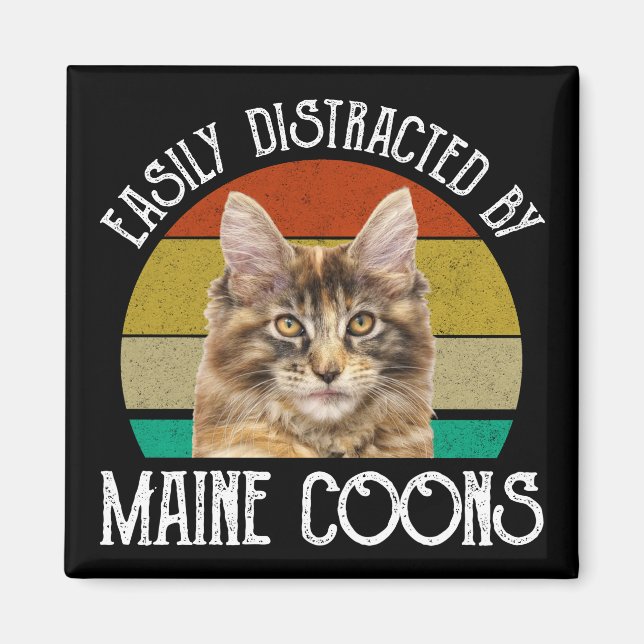 Leicht von Maine-Coons abgelenkt Magnet (Vorne)