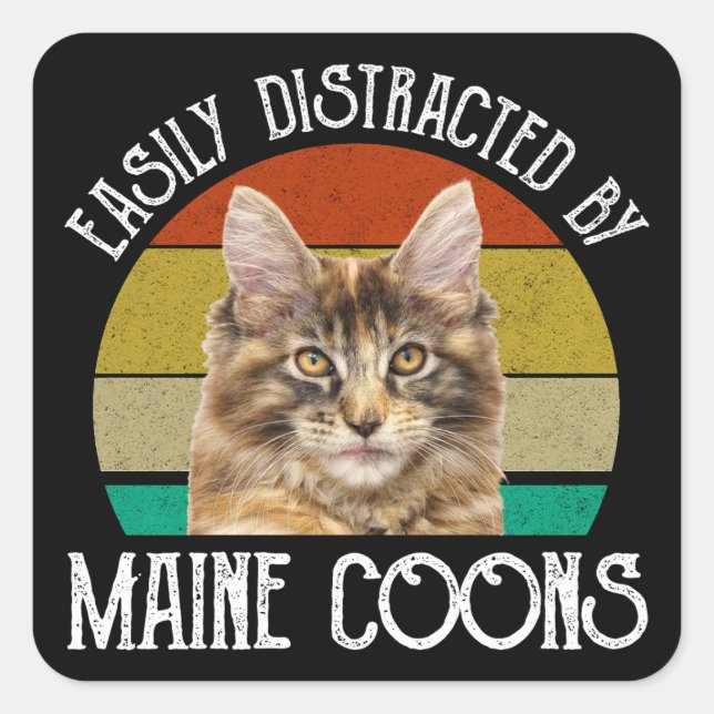 Leicht von Maine-Coons abgelenkt Quadratischer Aufkleber (Vorderseite)