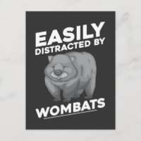 Leicht von Wombats abgelenkt australische Tiere