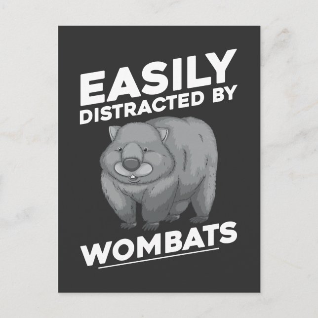 Leicht von Wombats abgelenkt australische Tiere Postkarte (Vorderseite)