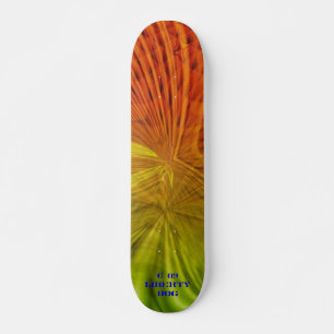 LEICHTE BEAMTE NEON PRO SKATEBOARD FUN KIDS