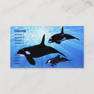 LEICHTE ECHO-GESCHÄFTSKARTE VISITENKARTE