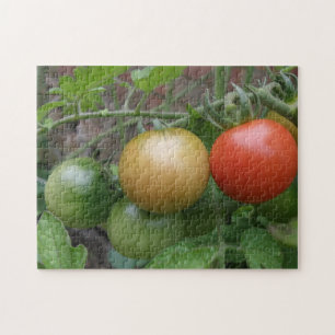 Leichte Tomaten-Puzzle