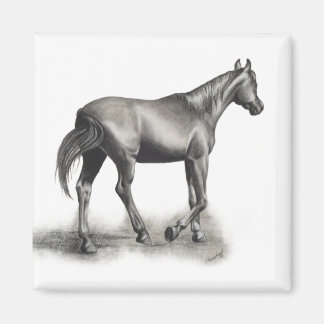 Leichter Nachmittag Magnet