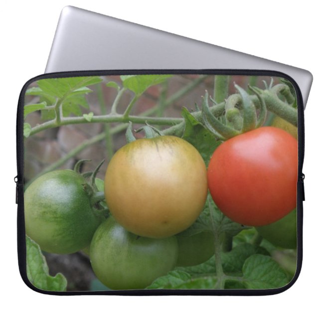 Leichttomaten für den Verkehr - Laptop-Tasche Laptopschutzhülle (Vorderseite)