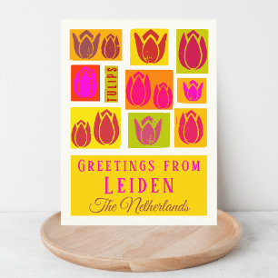 Leiden Noordholland Netherlands tulip Postcard Postkarte