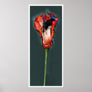 Leidenschafts-Blume #5 Poster