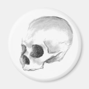 Leider, schlechtes Yorick! Magnet