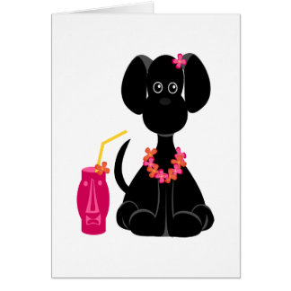 LeiLani der schwarze Labrador