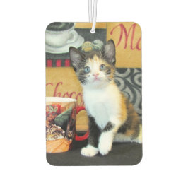 Leilani - Kaffee Irgendjemand: Cat/Kitten Air Fres Autolufterfrischer
