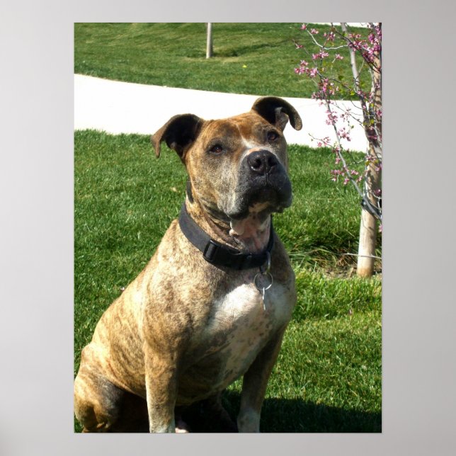 Leinenprint Poster (Vorne)