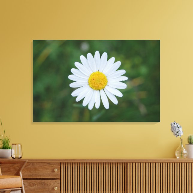 Leinwand (Insitu (Wohnzimmer))