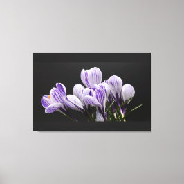 Leinwand an der Wand