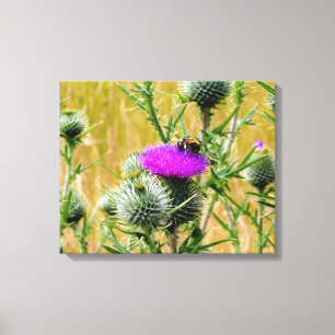 Leinwand Art Bee on Thistle