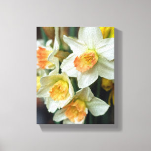 Leinwand Art-Daffodils