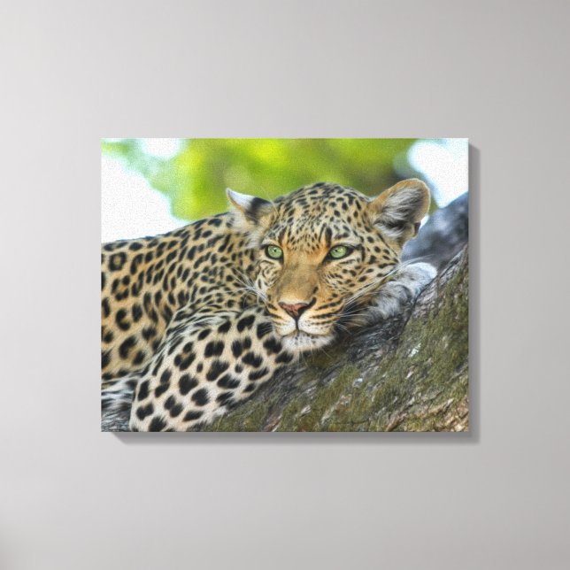 Leinwand Art-Leopard (Vorderseite)