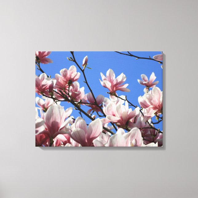 Leinwand Art-Pink Magnolia (Vorderseite)