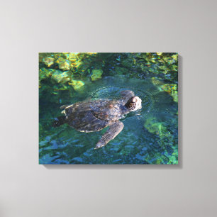 Leinwand Art-Sea-Schildkröte