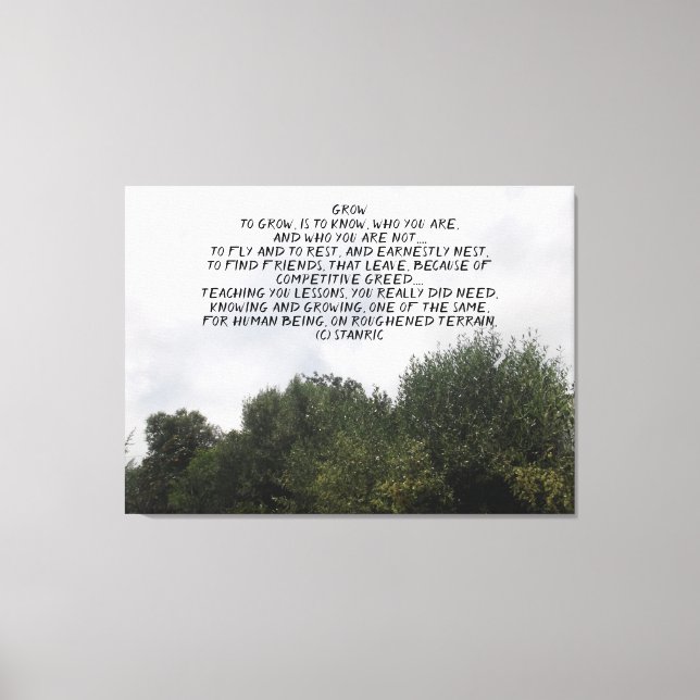 LEINWAND ART UND DESIGN STIL (Vorderseite)