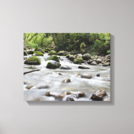 Leinwand aus Waldstrom
