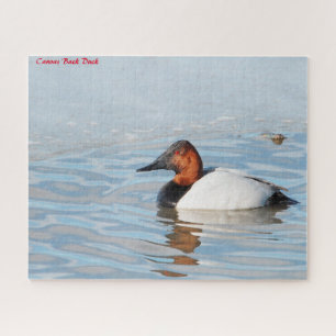 Leinwand Back Duck
