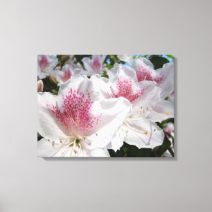 Leinwand Dekorative Kunst Rosa Blume
