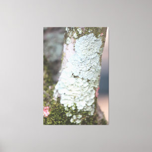 Leinwand der farbenfrohen Natur