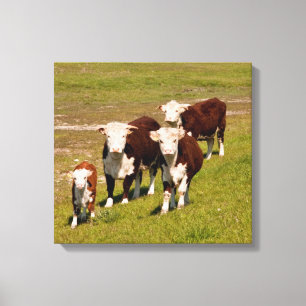 Leinwand der Kuhfamilie