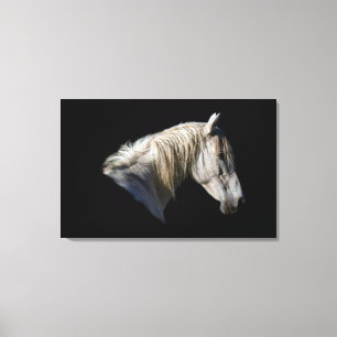 Leinwand des Fotos "White Horse Lover"