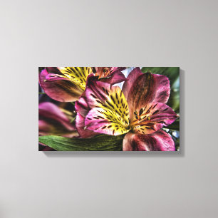 Leinwand-Druck Blume der Alstroemeria-peruanischen Leinwanddruck