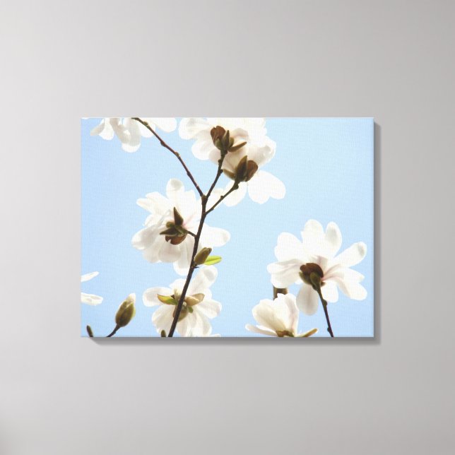 Leinwand Florale Magnolienbaum Blüten Kunst Drucke (Vorderseite)