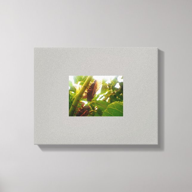 Leinwand für das Land suchen (Vorderseite)