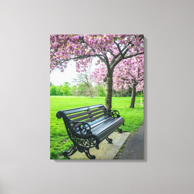Leinwand für die Kirschblüte (Vorderseite)
