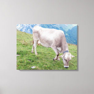 Leinwand für die Weidekuh
