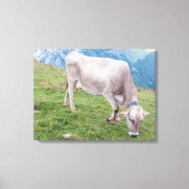Leinwand für die Weidekuh (Vorderseite)