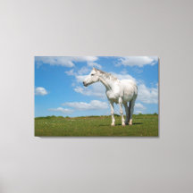 Leinwand für Weißhornfotografie