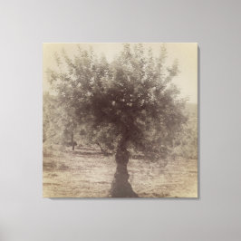 LEINWAND KUNST UND DESIGN WALL